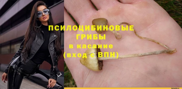 спиды Анива