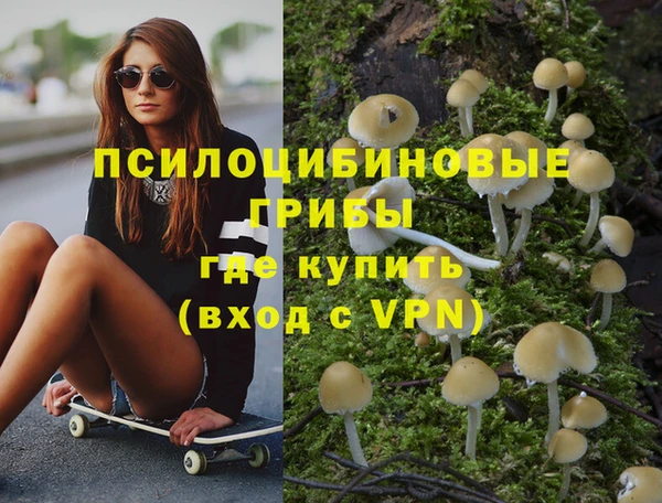 прущие крисы Апатиты