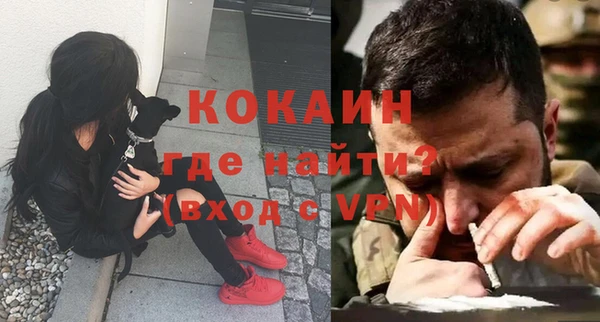 гашик Магас