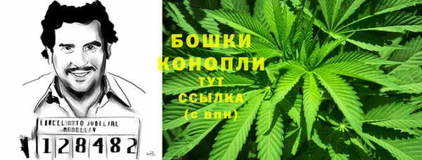гашик Магас