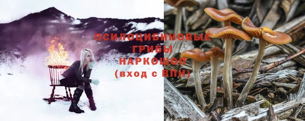 спиды Анива