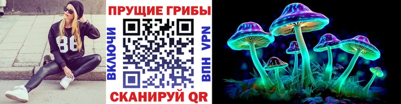 Псилоцибиновые грибы GOLDEN TEACHER  Чебаркуль 