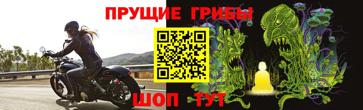 дарнет шоп  Вход с VPN  Чебаркуль  Псилоцибиновые грибы Cubensis 